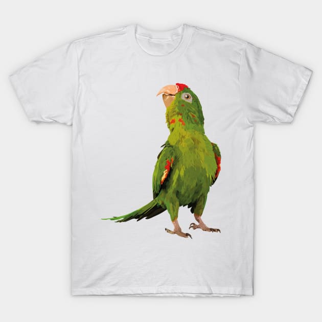 red-fronted parakeet T-Shirt by obscurite